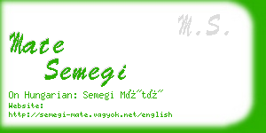 mate semegi business card